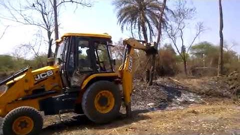 Tree Felling and Stump Removal JCB Earth Mover