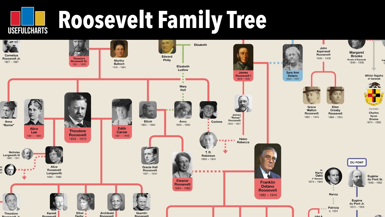 Teddy Roosevelt & Franklin Roosevelt Family Tree - Youtube