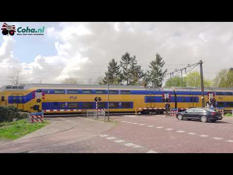 Spoorwegovergang Vught ??4K?? // Dutch railroad crossing