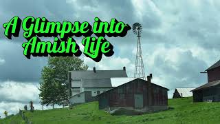 A Glimpse Into Amish Life From Holmes and Wayne County Ohio. Amish Country Enjoy and follow.