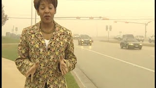 How to safely drive in fog