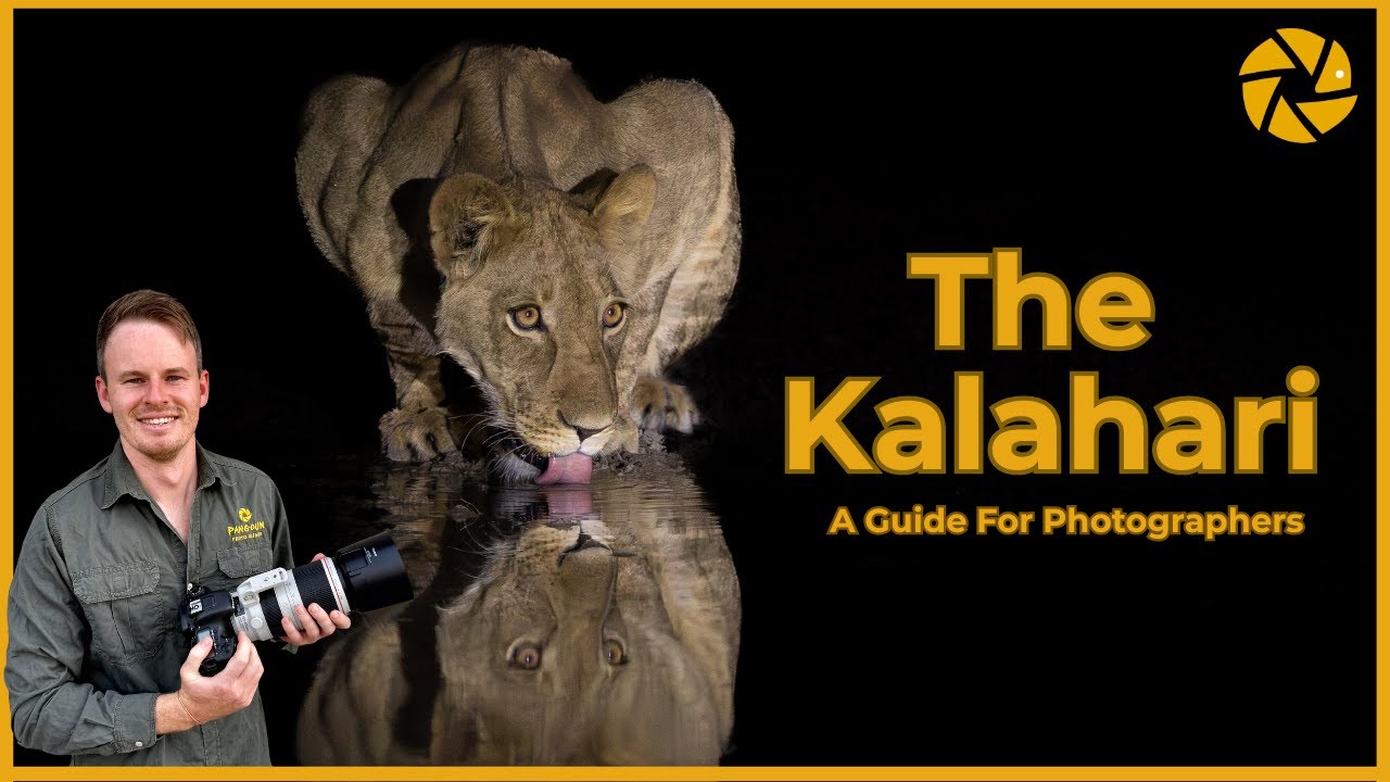Калахари | Руководство для фотографов