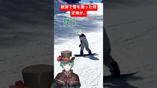 新潟県で雪の深さを測ろうとした日【スノーボード】【タワーレコード】