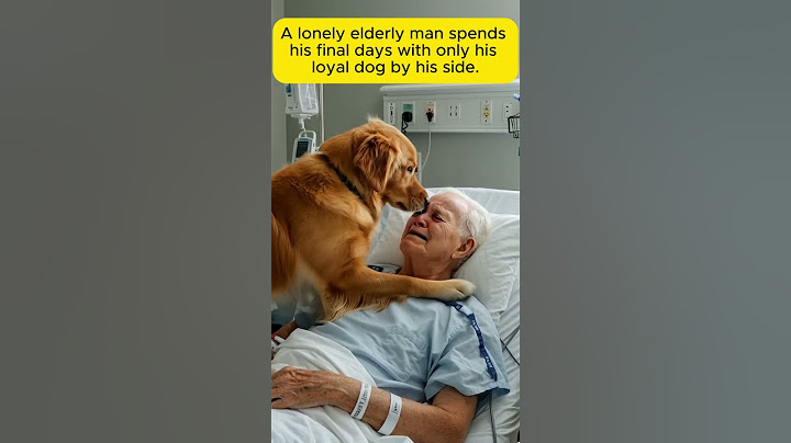 A lonely elderly man spends his final days with only his loyal dog by his side. #dog#petlove