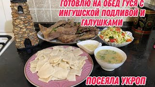 видео: Готовлю на обед гуся с Ингушской подливой и галушками|Посеяла укроп картинка: Готовлю на обед гуся с Ингушской подливой и галушками|Посеяла укроп