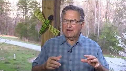 Breaking Free from Self Sabotage Mastering the Mind that Trades