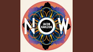 Video thumbnail of "Jacob Karlzon - A Lifetime Ago"
