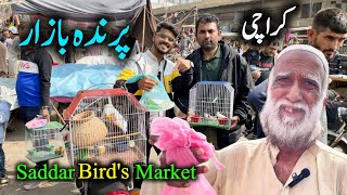 Saddar Exotic Parrots \& Birds Market Karachi 2024 Latest Update In Urdu Hindi | Sadar Bazar Karachi