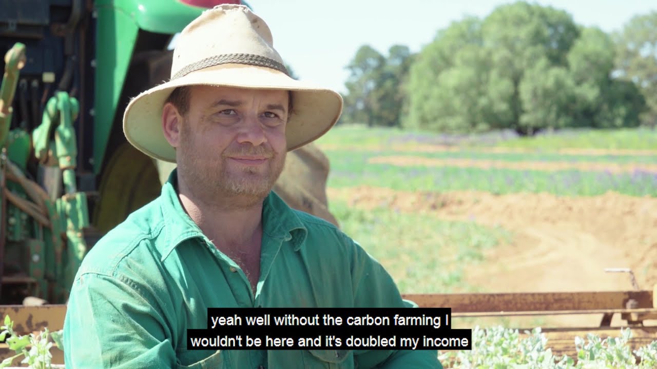 Vegetation – avoided deforestation, Bulgoo Station