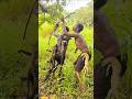 How to hunt a deer with an arrow #wildlife #animals #bowhunt #comedy #youtubeshorts