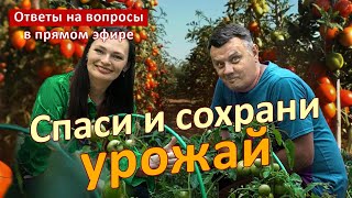 Киньте это в лунку при посадке ДАЧНИКИ В ВОСТОРГЕ!