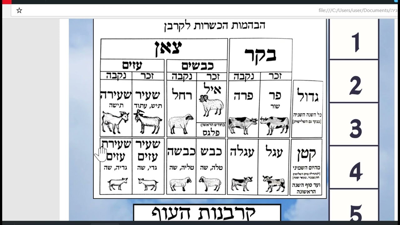 Uploads from דף היומי מובן ומענין