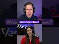 The Verge’s Hayden Field joins us on The Vergecast to break down OpenClaw, the trending AI agent.