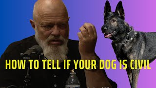 How To Tell If Your Dog Is Civil
