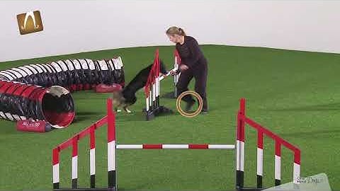 OneMind Dogs agility handling technique - Reverse Wrap - get tight turns in agility!