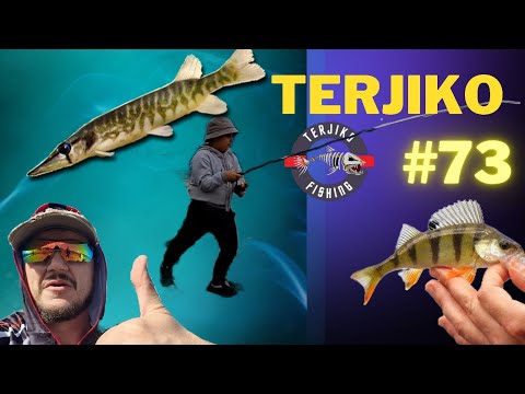 #73. გამომწერებთან შეხვედრა შაორზე და პაწია ქორჭილების ჭერა სპინინგით.. TerjiKo Fishing.