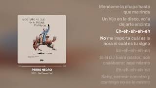 PERRO NEGRO ‐ Bad Bunny ft. Feid - Lyrics - nadie sabe lo que va a pasar mañana