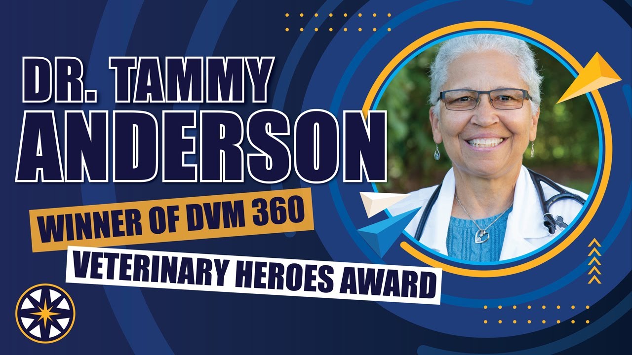 Dr. Tammy Anderson of NorthStar VETS Receives Veterinary Heroes Award