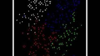 Genetic Competing Conway Automata