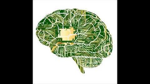 #33 AI 硬件发展趋势——从终端加速到类脑计算