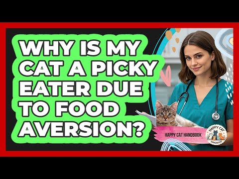 Why Is My Cat A Picky Eater Due To Food Aversion Happy Cat Handbook