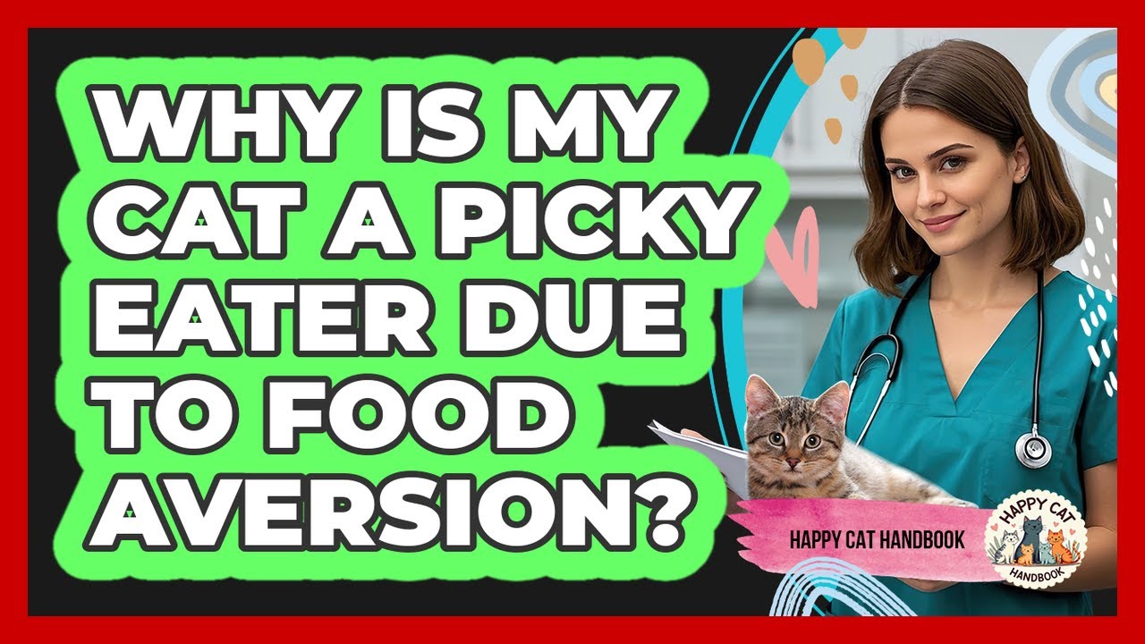 Why Is My Cat A Picky Eater Due To Food Aversion? - Happy Cat Handbook