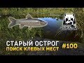 Русская Рыбалка 4 #100 - Старый Острог. Поиск клевых мест