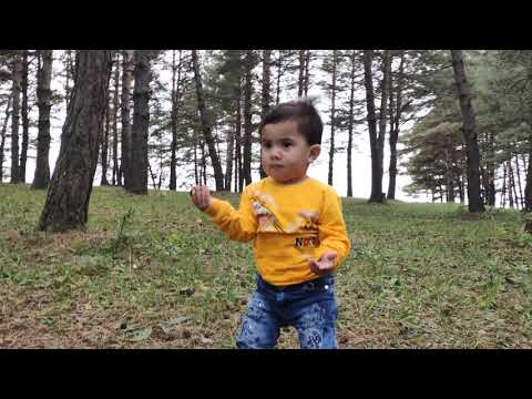 ანასტასია ბეჟანიძე