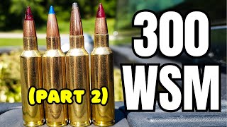 300 WSM Ammo Test [Part 2]: Savage 110 Trail Hunter