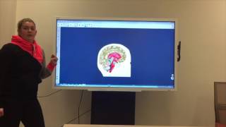 EDU 210 Interactive Whiteboard Assignment