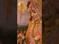 Muslim Wedding Muslim Nikah Sadi Nikah Video Viral