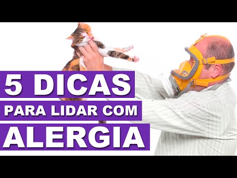 5 DICAS PARA LIDAR COM ALERGIA A PETS