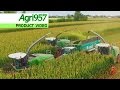 Silage xxl 3x fendt katana 85  65  nature green  wheat and corn silage in italy  agri957 4k
