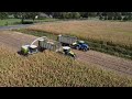 Mais Silage with Claas Jaguar 960 - Mais hakselen Loonbedrijf Nikkels - Claas Arion 920 | Klarenbeek