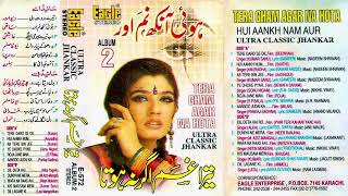 Tera Gham Ager Na Hota Album 2 | Eagle Ultra Classic Jhankar | 90's Golden Hits | Jangu Zakhmi