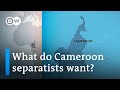 Anglophone separatists kill dozens in western Cameroon | DW News Africa