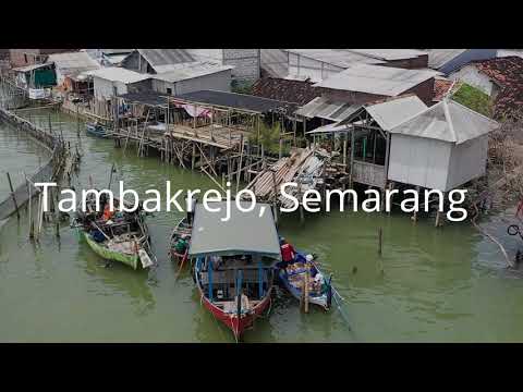 Tambakrejo, Semarang - Lokasi Penanaman LindungiHutan