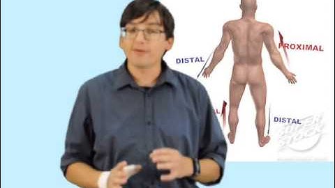 Bio2401 Lab video #1: Exercises 1-1, 1-2, & 1-3