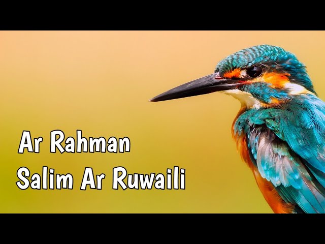 Surah Ar Rahman - Calm Quran Salim Al Ruwaili class=