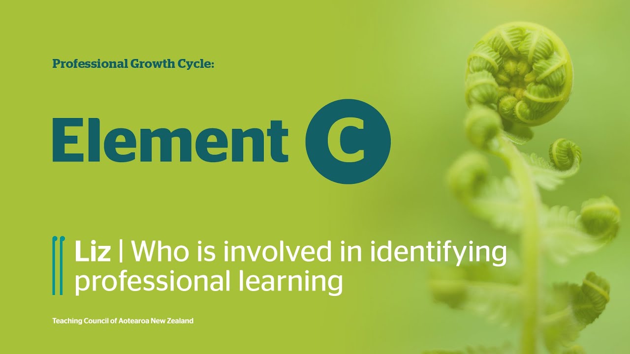 Element C: Liz | Who is involved in identifying professional learning ...