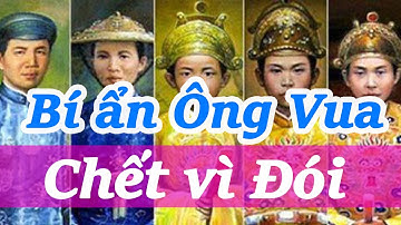 Bí ẩn Ông vua chết đói sau 3 ngày lên ngôi | Khám phá Lịch sử Việt Nam cùng Người Kể Sử