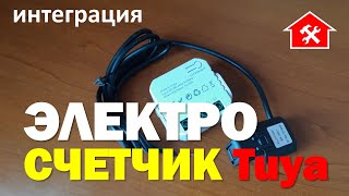 DAY 1953 _ новый электросчетчик tuya zigbee в умном доме...