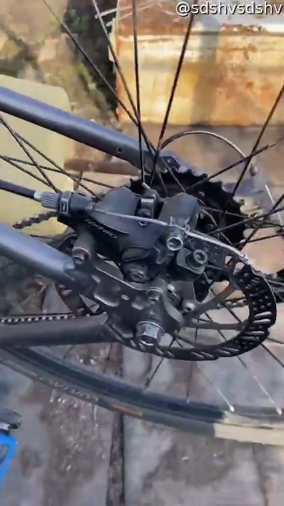 Bird Song Copies Squeaky Bike Wheel || ViralHog