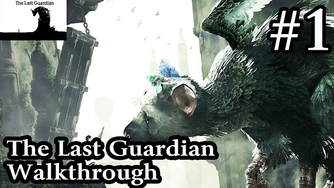 The Last Guardian - Master Of The Valley Puzzle - Black Orb Hole