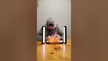 Macro PHOTOGRAPHY With iPhone 📸