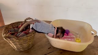 Oh No.. Mom Busy But Bb Mnkey Tri To Find Milk By Herself