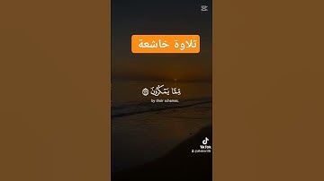 #القرآن_الكريم #المصحف #اكسبلور #حالات_واتس #تلاوة_خاشعة #الرحمن