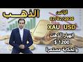 انهيار الذهب 1200 والحكاية مستمرة تحليل الذهب الإثنين 02 02 2026 
