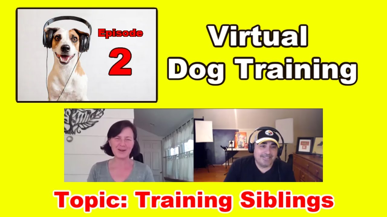 Ep.2 Virtual Dog Training session. Zoom dog training. Rescue Siblings