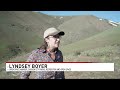 Sheep graze hillsides near Carson City to help mitigate wildfire risk